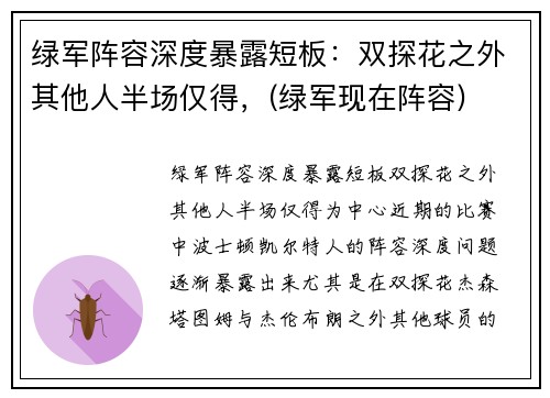 绿军阵容深度暴露短板：双探花之外其他人半场仅得，(绿军现在阵容)