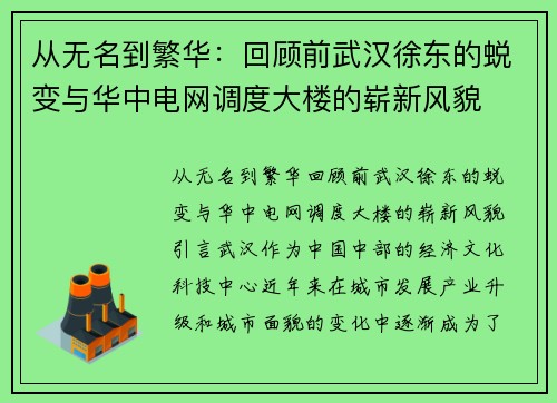 从无名到繁华：回顾前武汉徐东的蜕变与华中电网调度大楼的崭新风貌