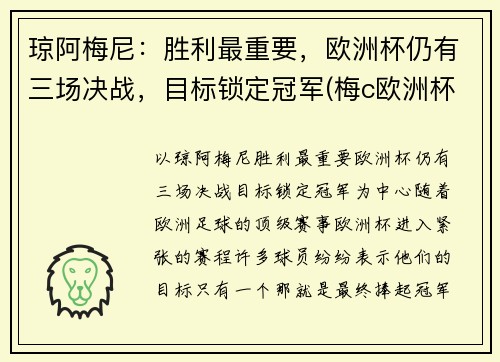 琼阿梅尼：胜利最重要，欧洲杯仍有三场决战，目标锁定冠军(梅c欧洲杯)