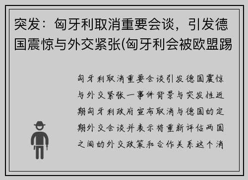 突发：匈牙利取消重要会谈，引发德国震惊与外交紧张(匈牙利会被欧盟踢出吗)