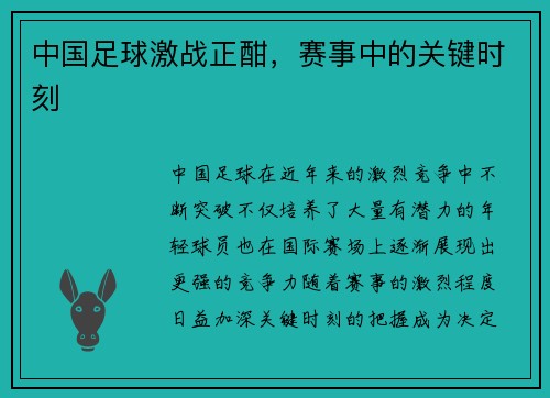 中国足球激战正酣，赛事中的关键时刻